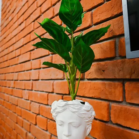 Przy Glownym Rynku Daire *