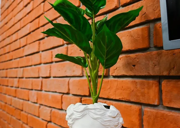 Przy Glownym Rynku Lägenhet *